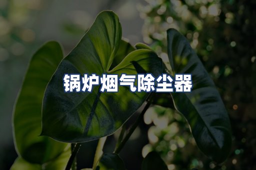 锅炉烟气除尘器
