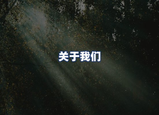 关于我们